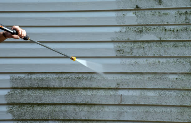 Mold Removal Process in Marlborough, MA