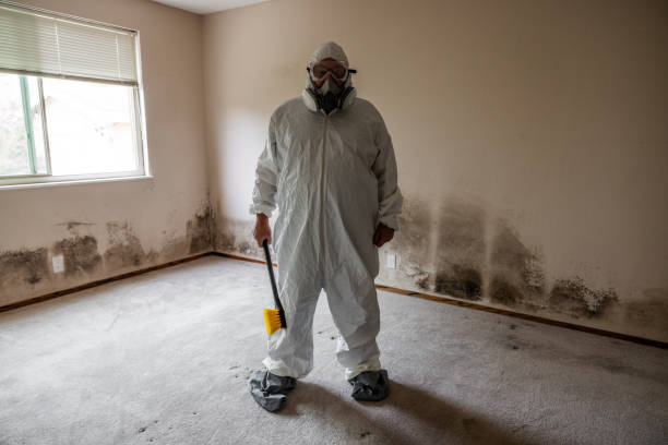 Water Damage Restoration in Marlborough, MA